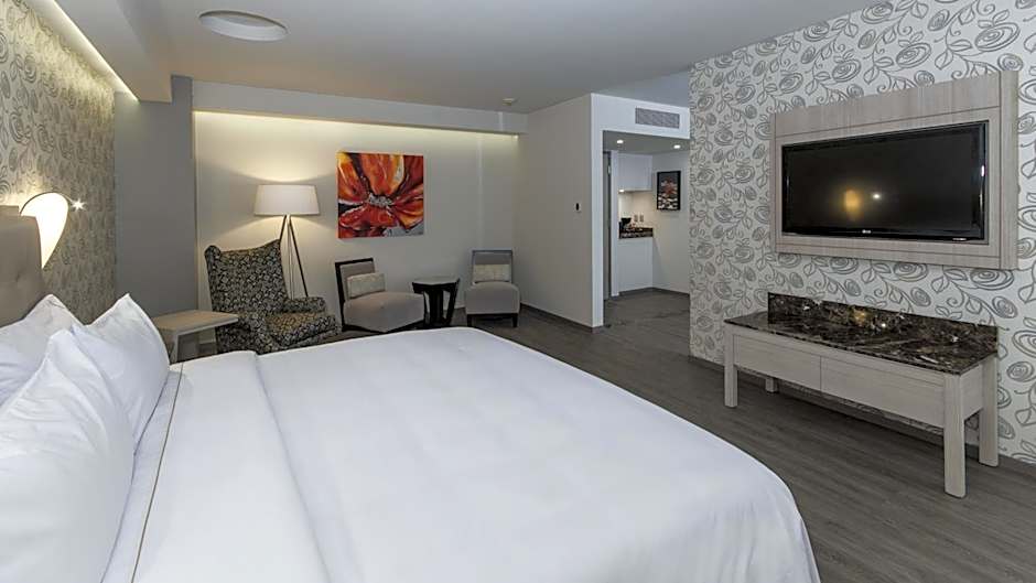 Holiday Inn Express Mexico - Toreo By IHG