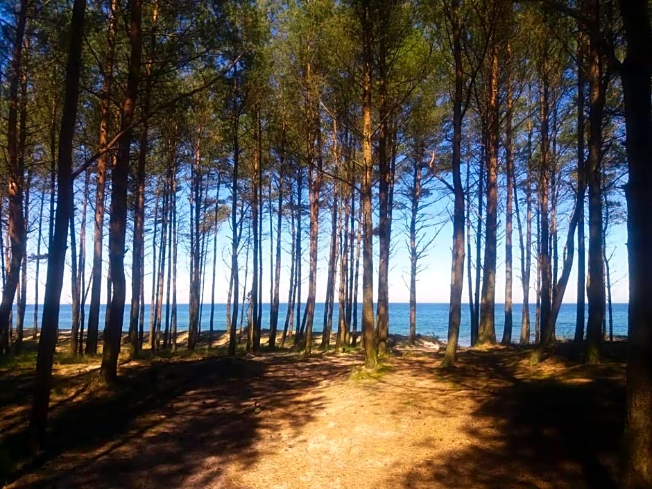 Domki Białe Zacisze