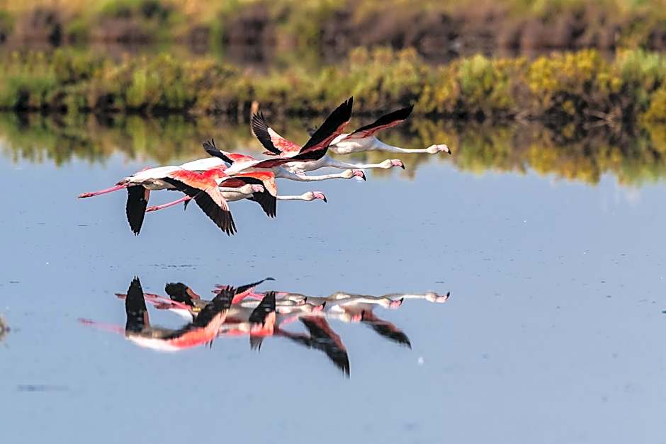 Isola di Albarella Hotel Capo Nord