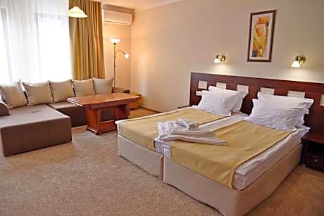 Large Double or Twin Room