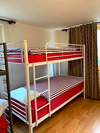 Bed in 8-Bed Dormitory Room