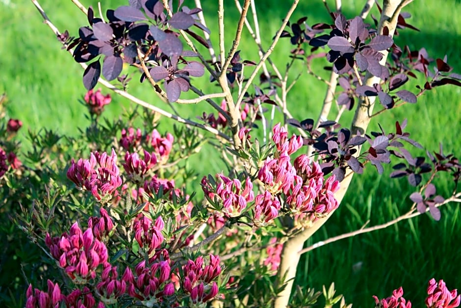 Domek nad jeziorem Bystrzyna