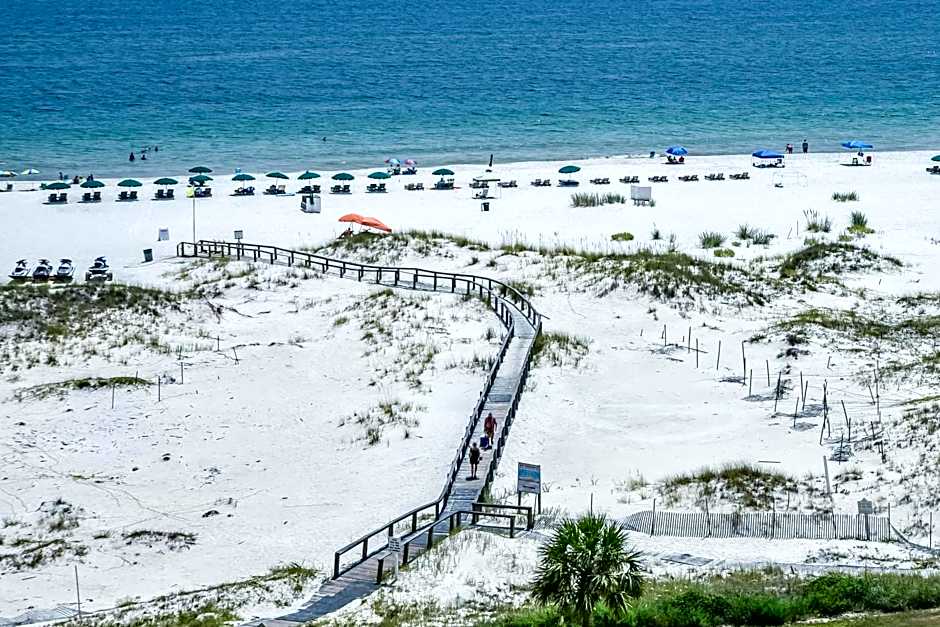 Plantation Dunes #5101