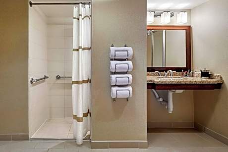 Suite, 1 Bedroom (Mobility Accessible, Tub) (1 King Bed and 1 Double Sofa Bed)