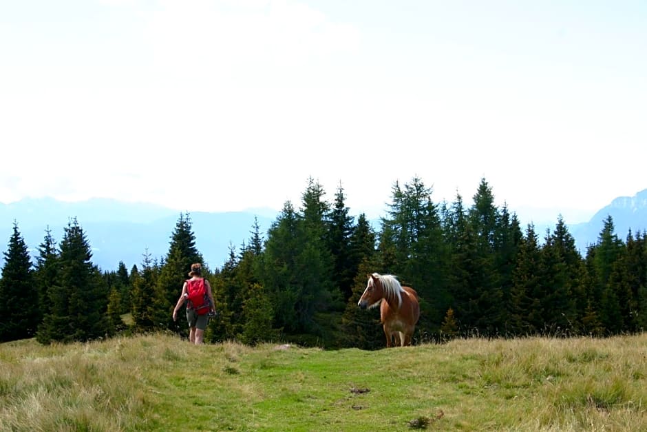 Panoramapension Etschblick