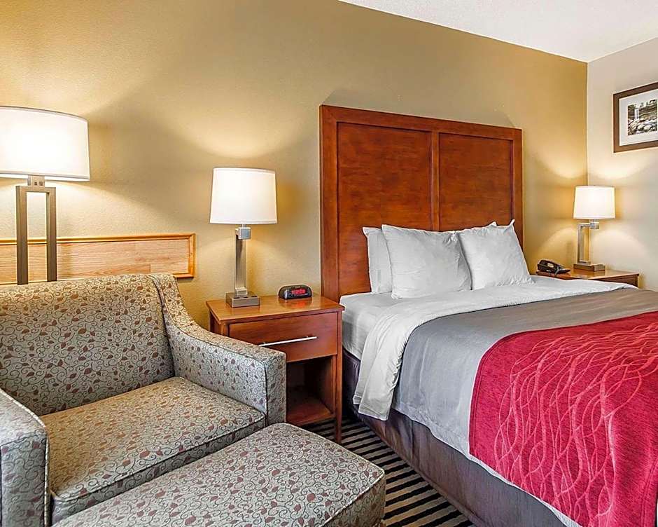 Comfort Inn Owatonna near Medical Center