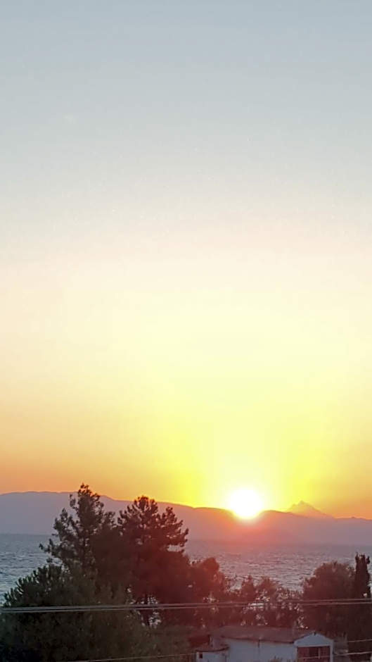 SUN RESIDENCE Exclusive Seaside Suites