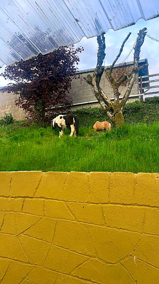 Danny's Bar & accommodation Broadford county Clare