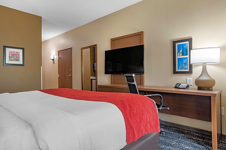 Comfort Inn & Suites Downtown near University