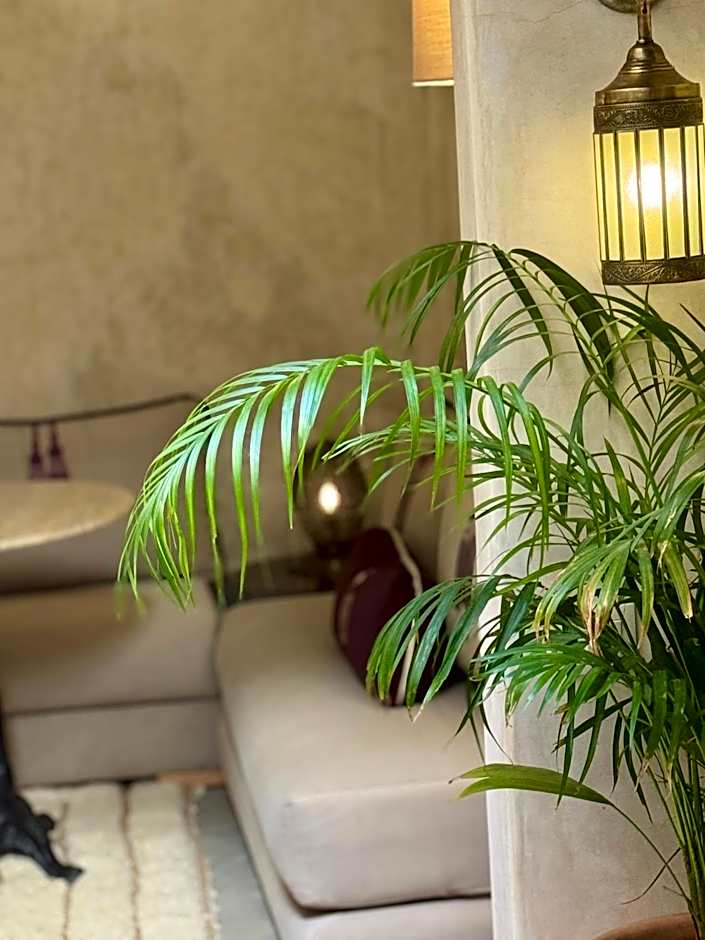 Riad Dar More & SPA