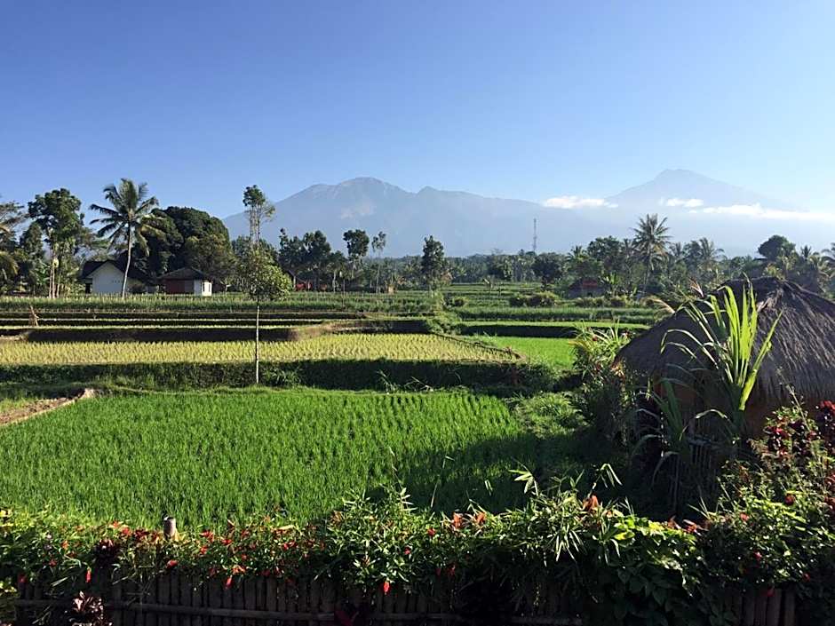 Pondok Indah Bungalows Tetebatu