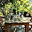 Terrace Houses Sirince - Fig, Olive Clockmakers and Grapevine