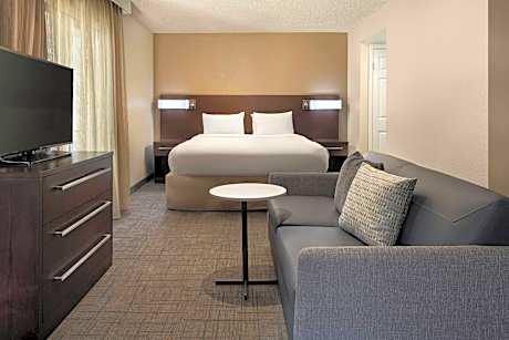 Studio, 1 King Bed with Sofa bed (1 King Bed and 1 Double Sofa Bed)