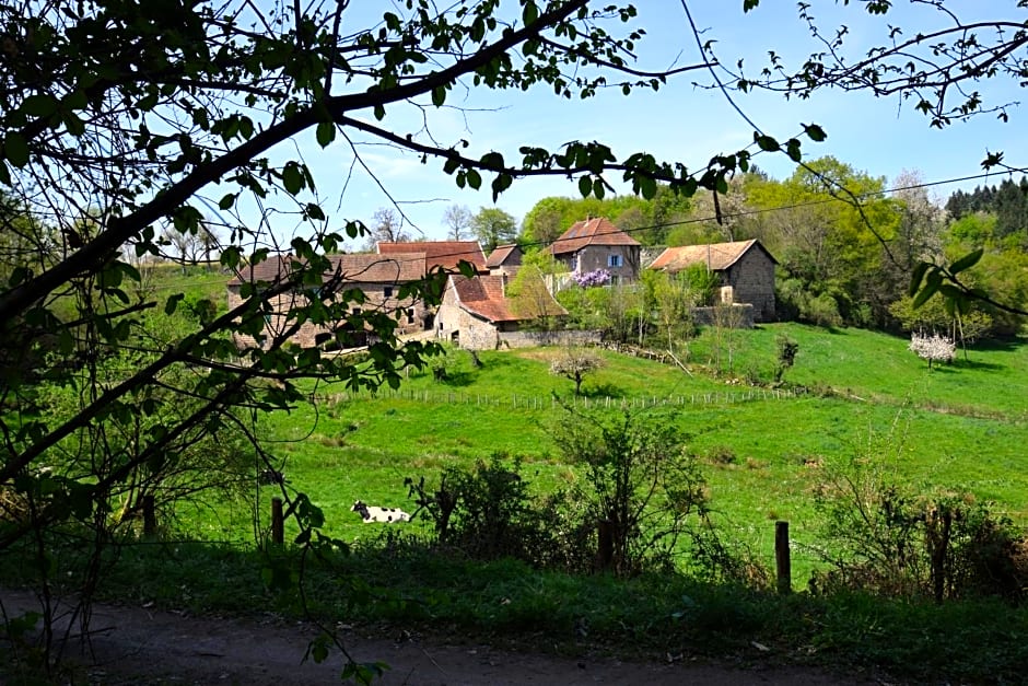 Chambre privative et originale, à 20 mn de Cluny