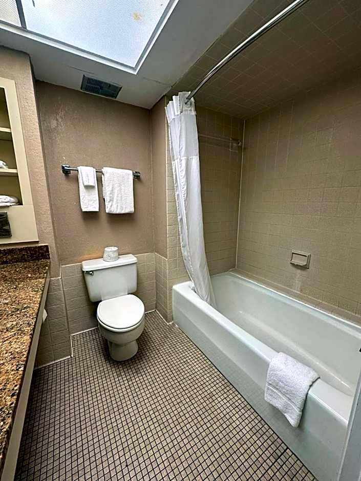 Tahitian Inn Boutique Hotel Tampa