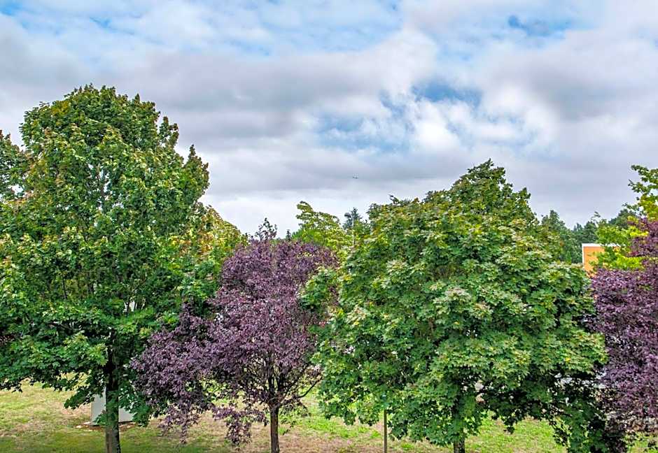 B&B Hôtel NANTES Parc Expos La Chapelle