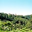 La Clairière bio & spahotel