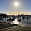 Salt on the Harbour