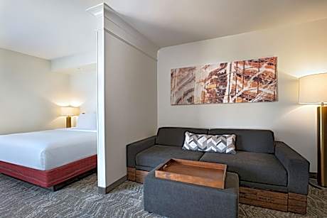 King Suite with Sofa Bed
