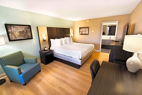 1 King Bed