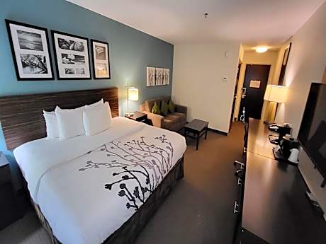 King Suite - Accessible/Non-Smoking