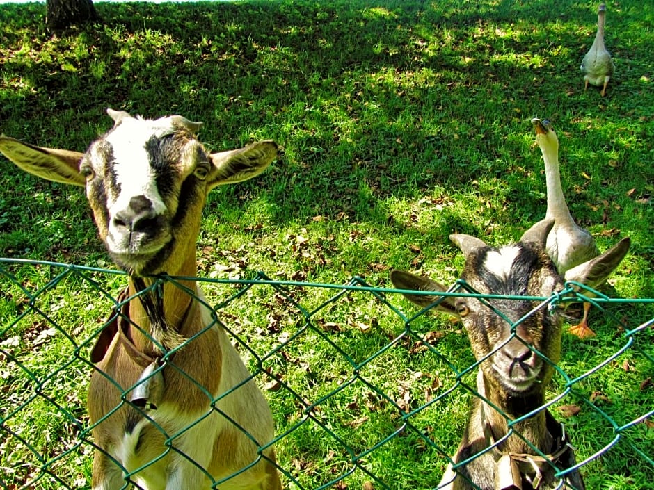 B&B Sopra il Portico