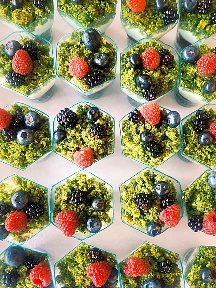 Pensjonat "Jodłowy Dwór"