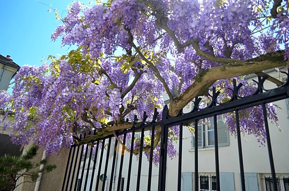 Wisteria