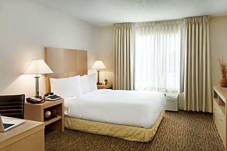 Queen Room - Disability Access/Non-Smoking