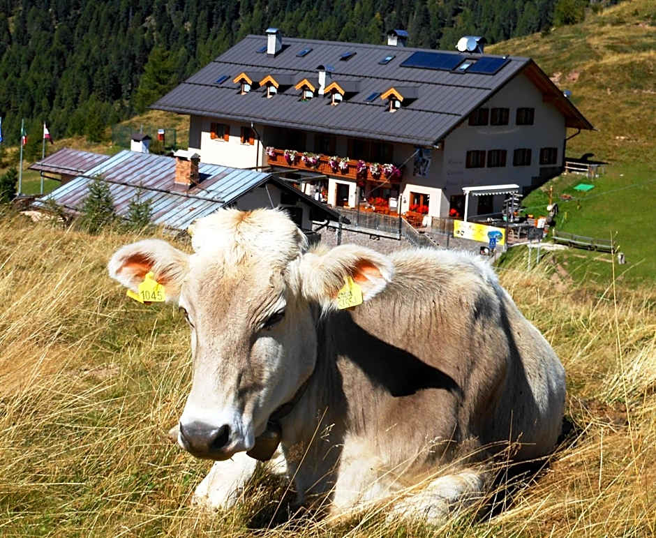 Rifugio Capanna Passo Valles