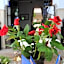 Riad dar Ourika & SPA