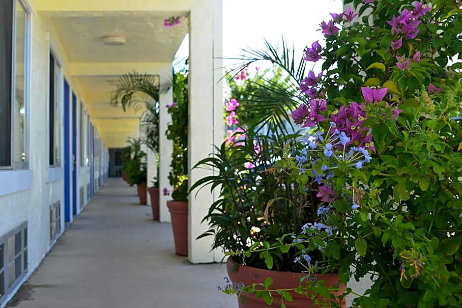 Americas Best Value Inn Bradenton Sarasota