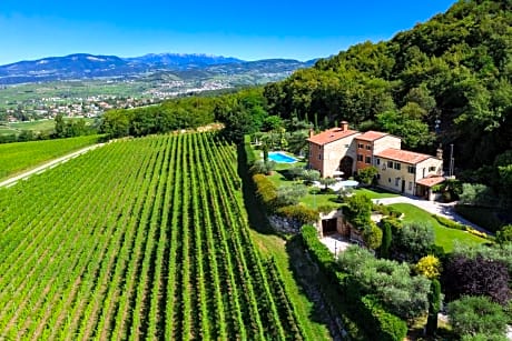 Villa Vitis