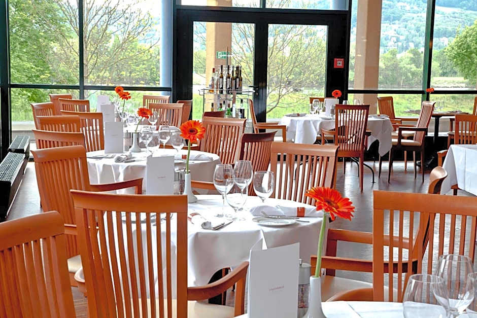 Trans World Hotel Donauwelle