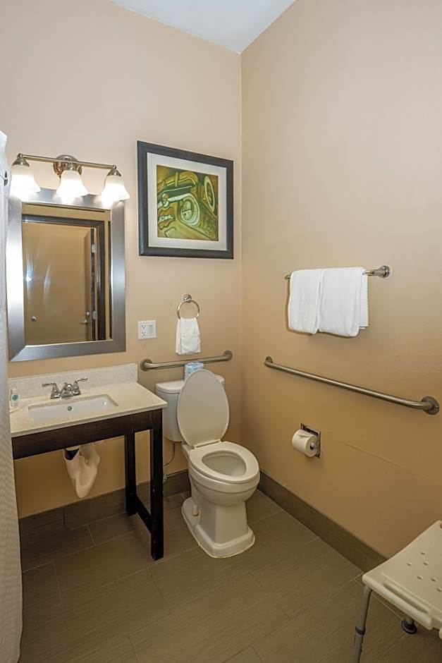 Comfort Suites Houston