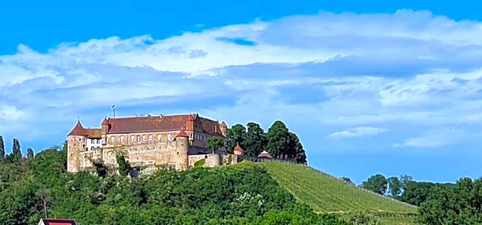Sali Homes - GaesteHaus Lamm Obersulm