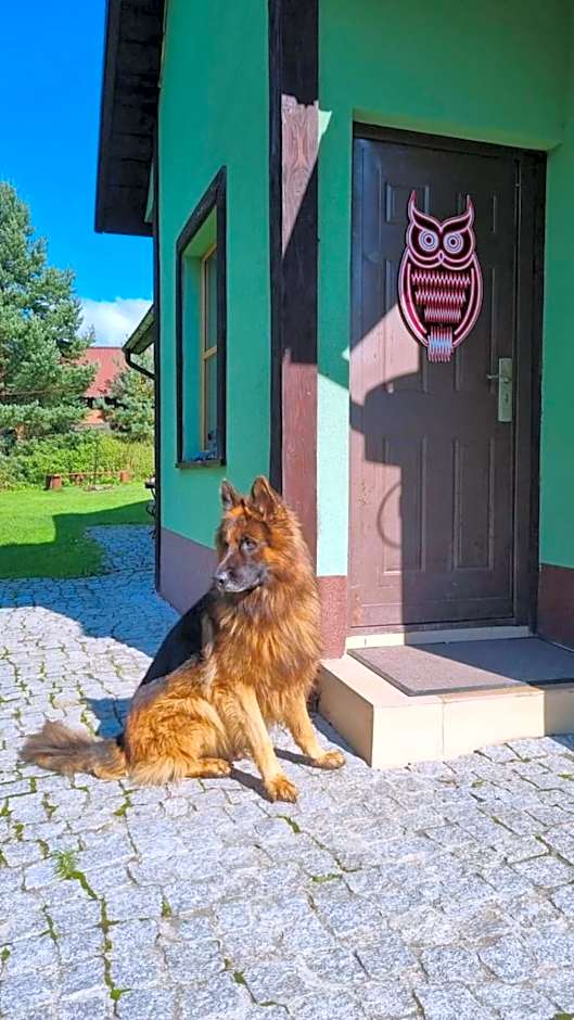 Dach Pod Sową