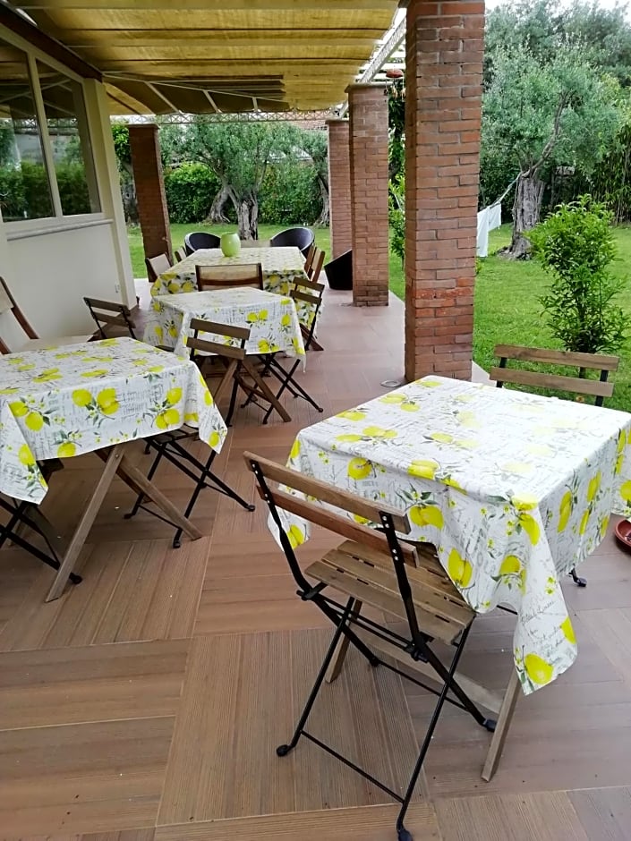 Bed&Breakfast La Zagara