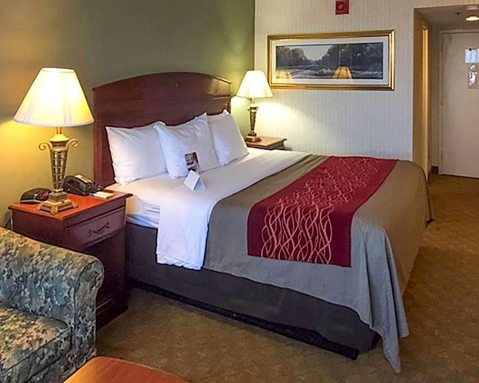 Comfort Inn Springfield