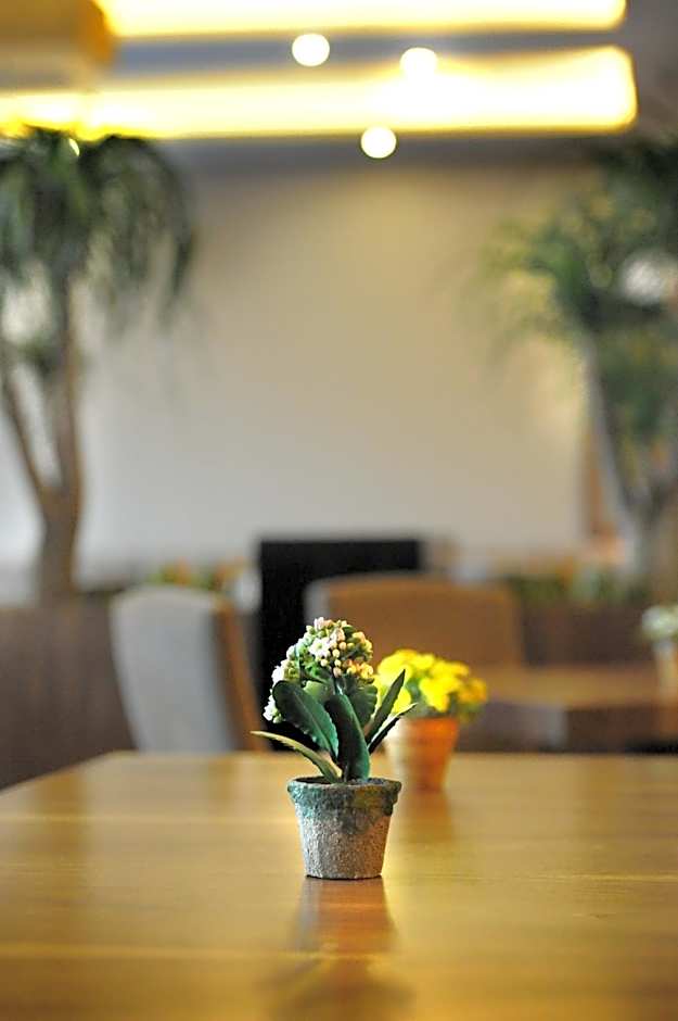 Volley Hotel Istanbul