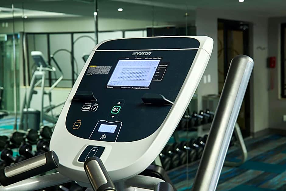 Wingate by Wyndham Chihuahua