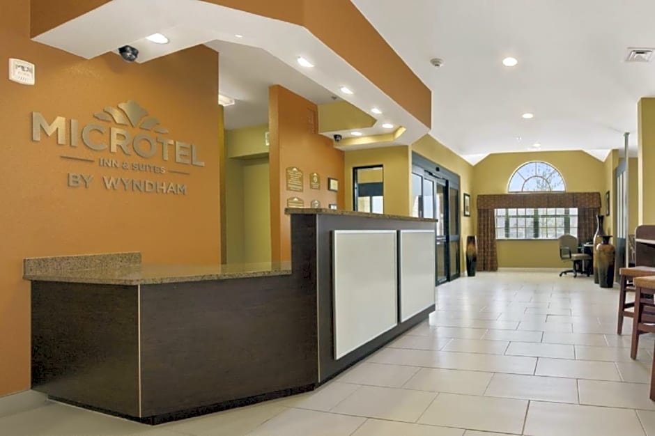 Microtel Inn & Suites by Wyndham Buda Austin South
