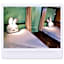 tourist Bunny Hostel