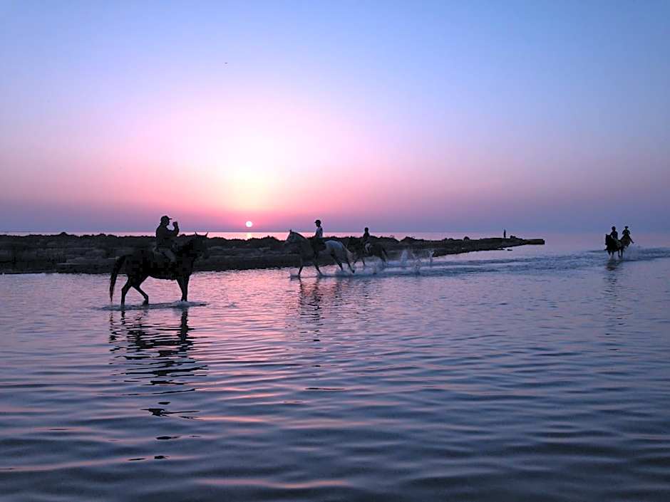 B&B Al Vecchio Pontile B&B MARSALA