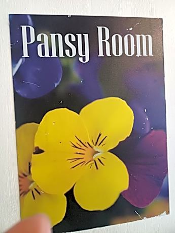 Deluxe Double Room with Shower