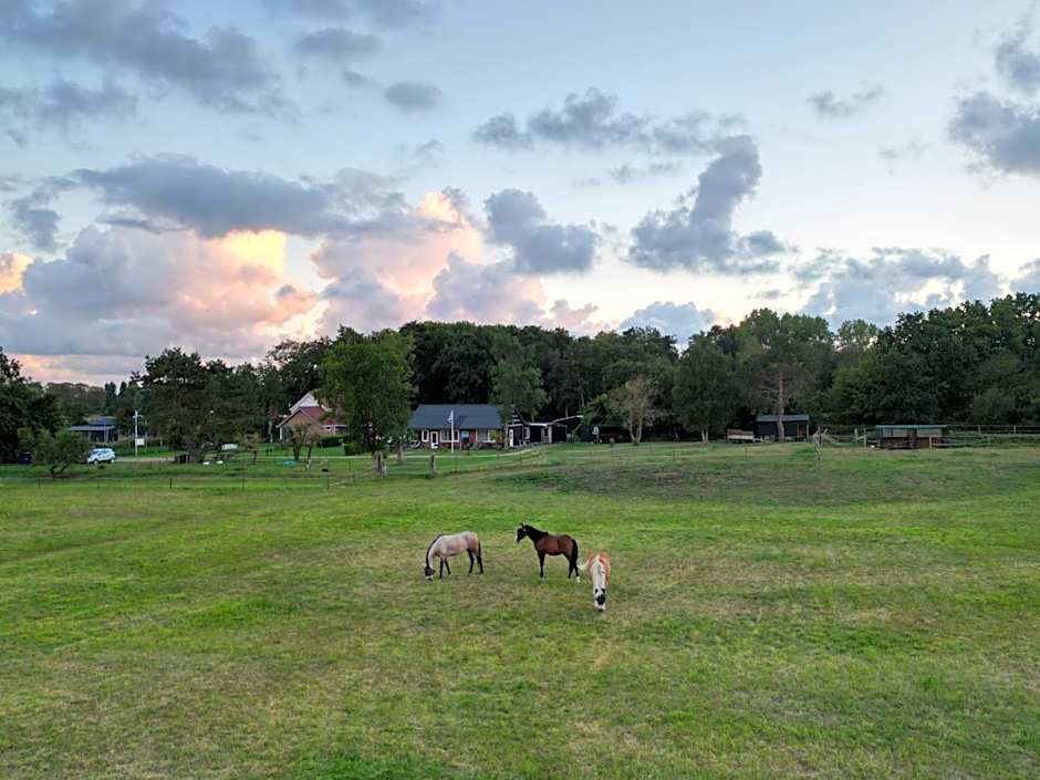 Little Creek - Lodges in het natuurgebied