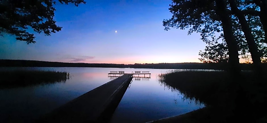 BORY TUCHOLSKIE SKÓRZENNO KO¿O OSIEKA