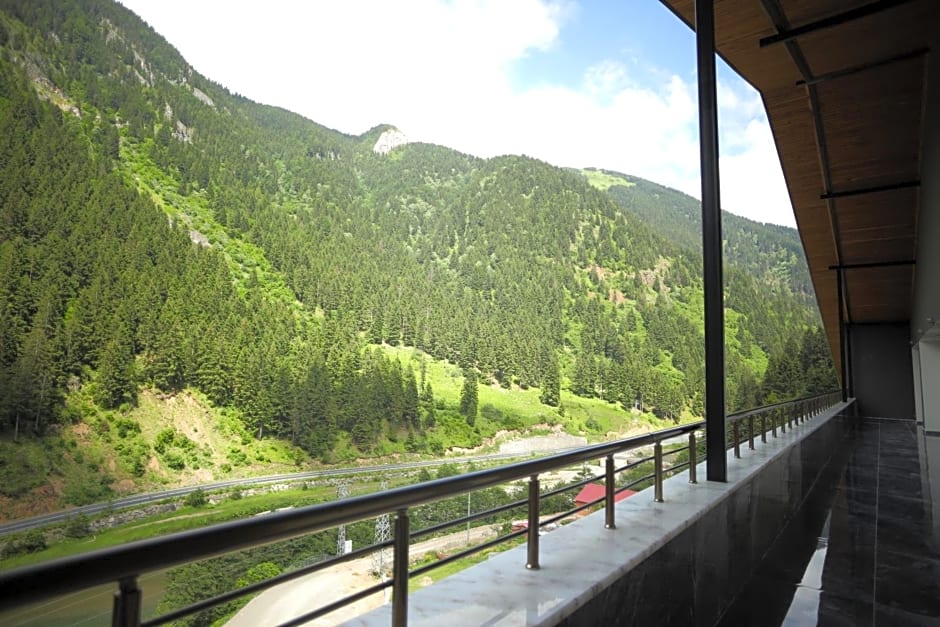 PAZARCIK MOUNTAIN HOTEL