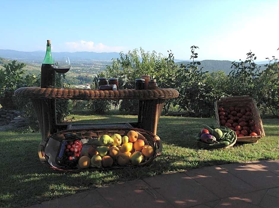 Villaspino
