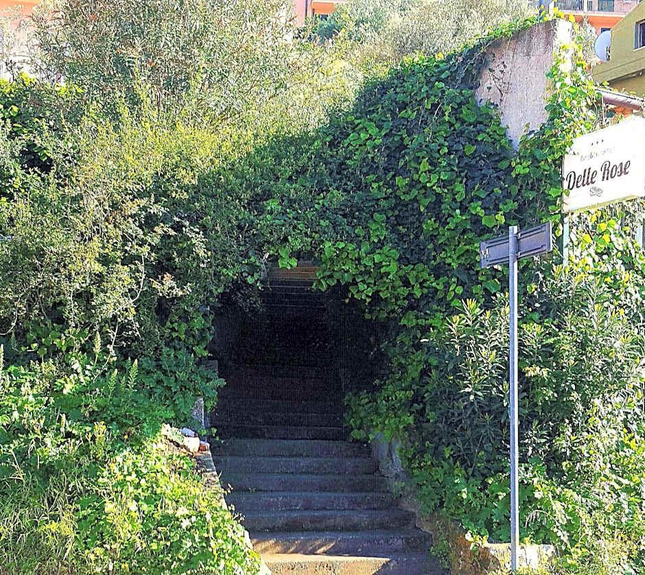 Delle Rose